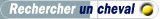 bt-recherche.jpg (3247 octets)