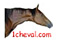 le site de 1cheval.com